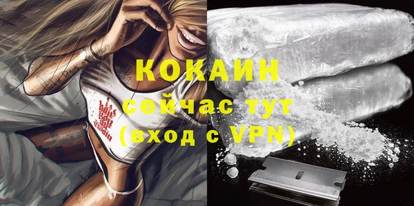 прущие крисы Абаза