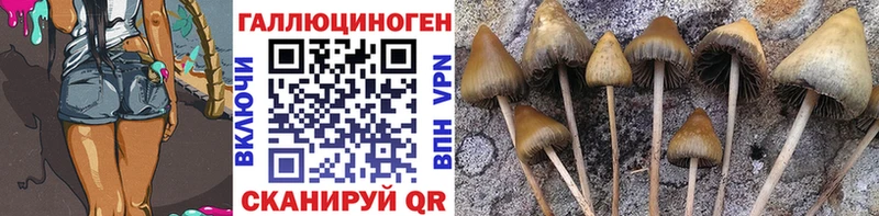 даркнет Telegram  блэк спрут tor  Нерчинск  что такое наркотик  Псилоцибиновые грибы мухоморы 
